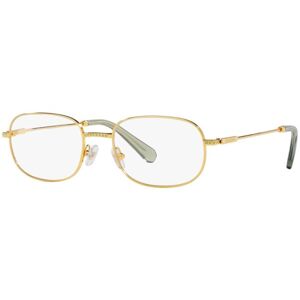 Swarovski SK1005 4004 M (52) Arany Férfi Dioptriás szemüvegek